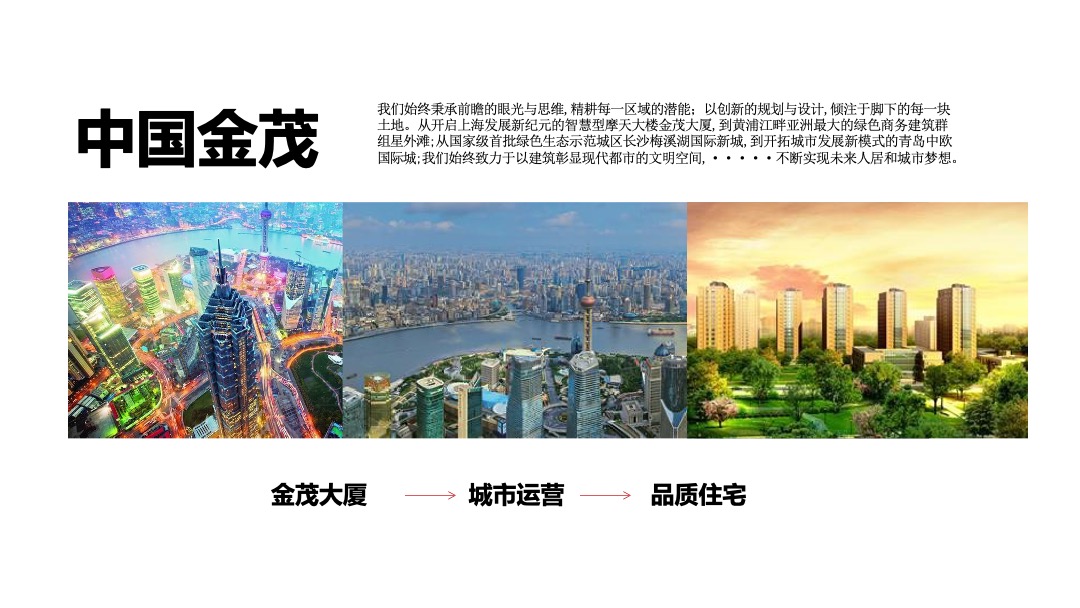 金茂府唐皇年度推广执行报告