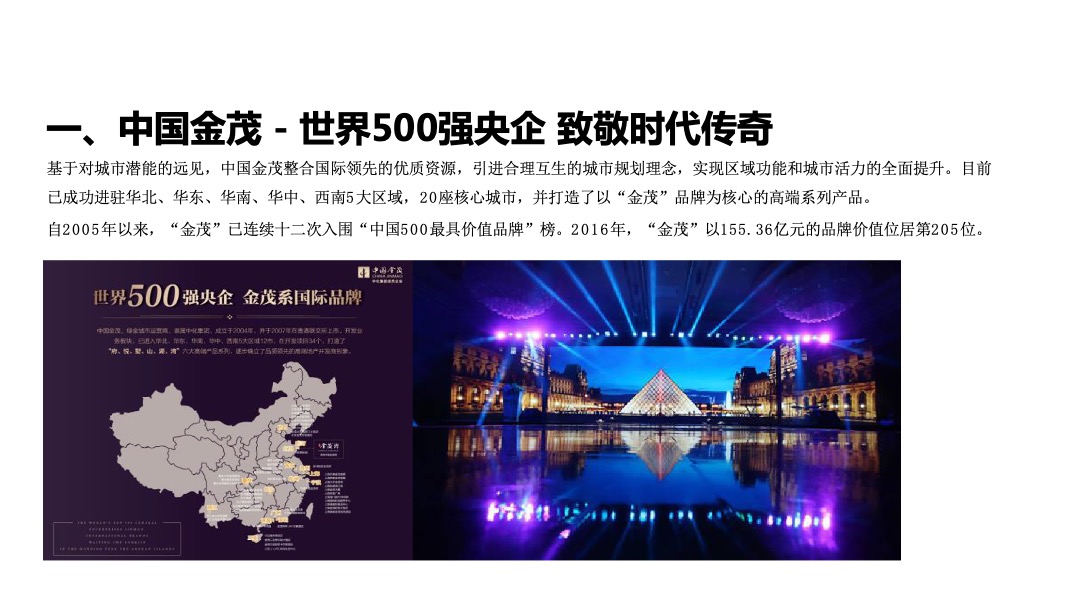 金茂府唐皇年度推广执行报告