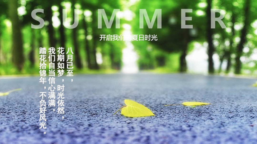 地产项目夏日消暑西瓜节（浪里个浪·百变西瓜节主题）活动策划方案