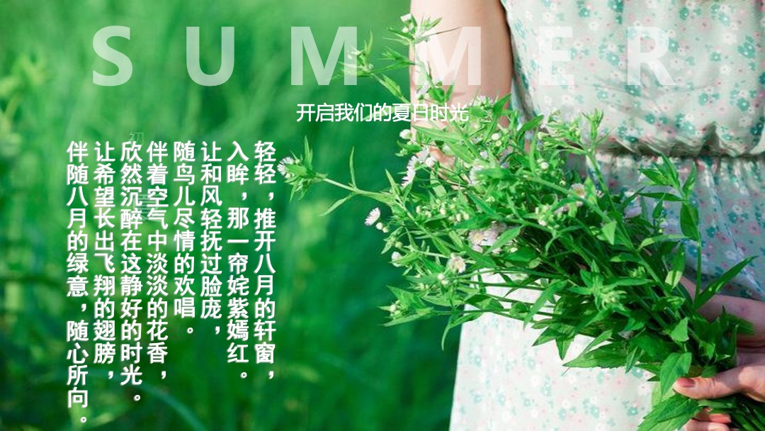 地产项目夏日消暑西瓜节（浪里个浪·百变西瓜节主题）活动策划方案