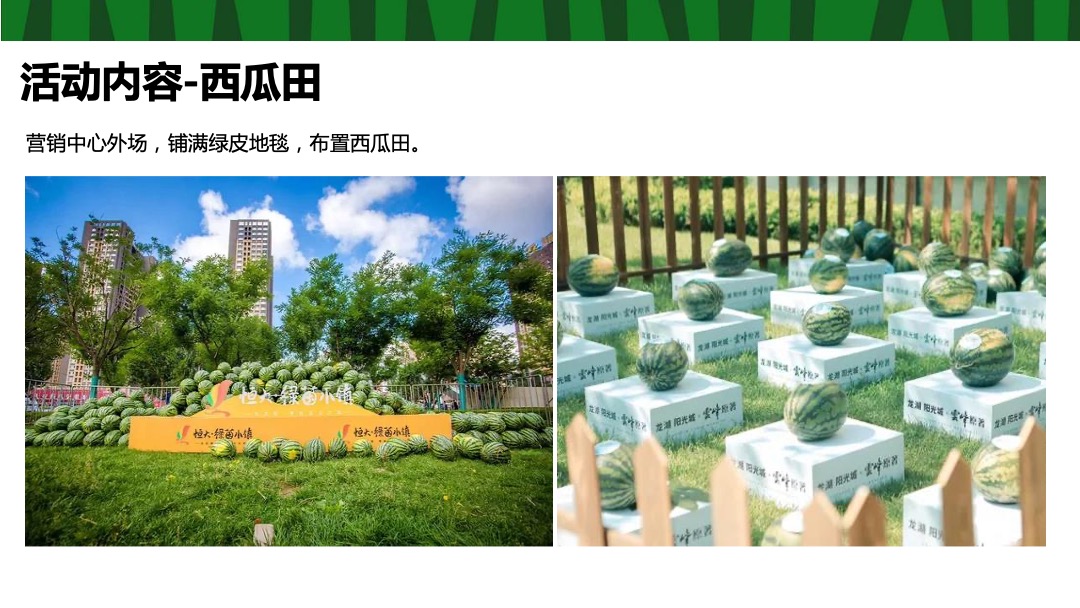 地产项目夏季8月（这个夏天 西瓜很忙主题）活动策划方案