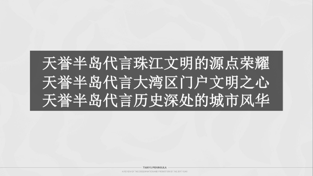 广州天誉半岛年度方案