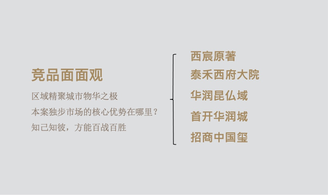 北京中粮天恒·天悦壹号年度推广方案