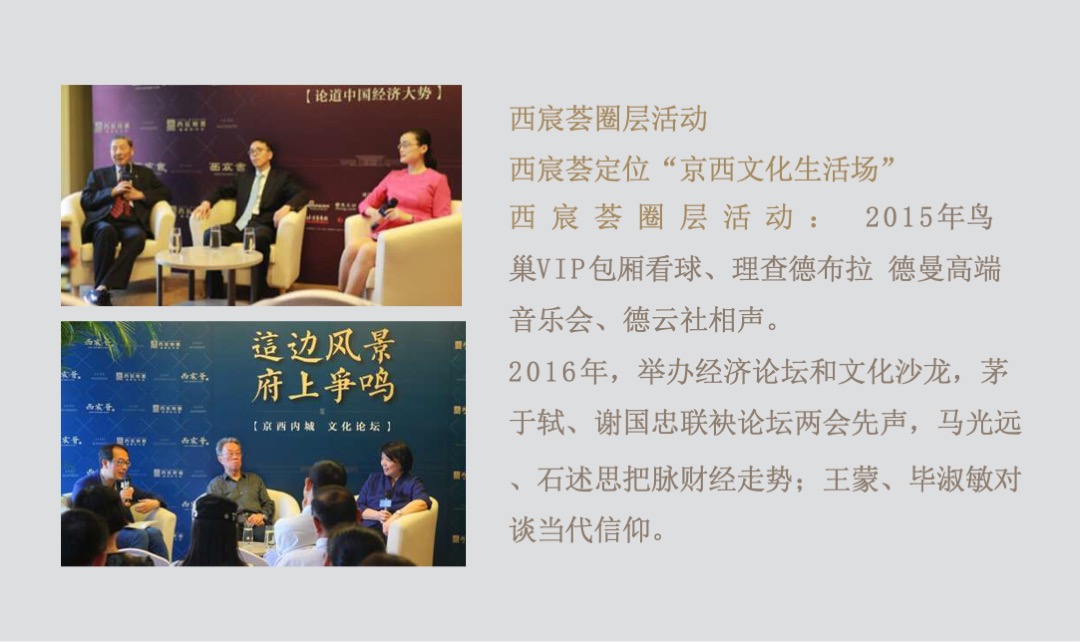 北京中粮天恒·天悦壹号年度推广方案