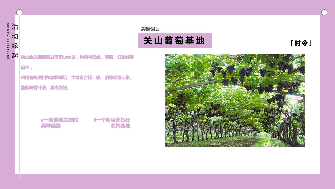 葡萄狂欢节活动方案