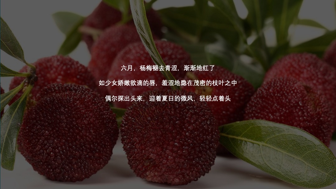 杨梅味的夏天暖场活动方案