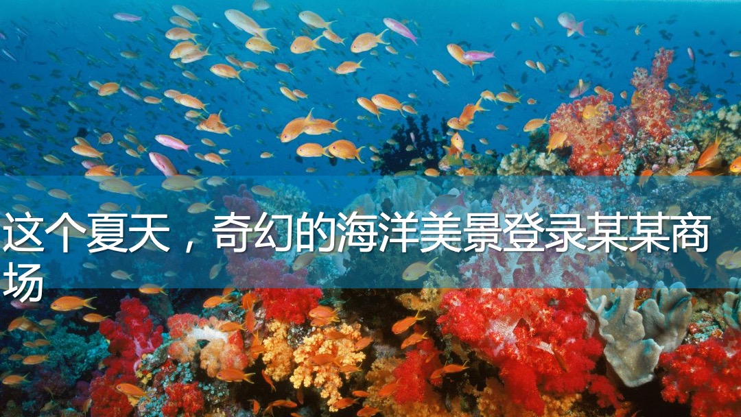 商业广场夏季系列（鱼悦夏日·海洋奇遇主题）活动策划方案