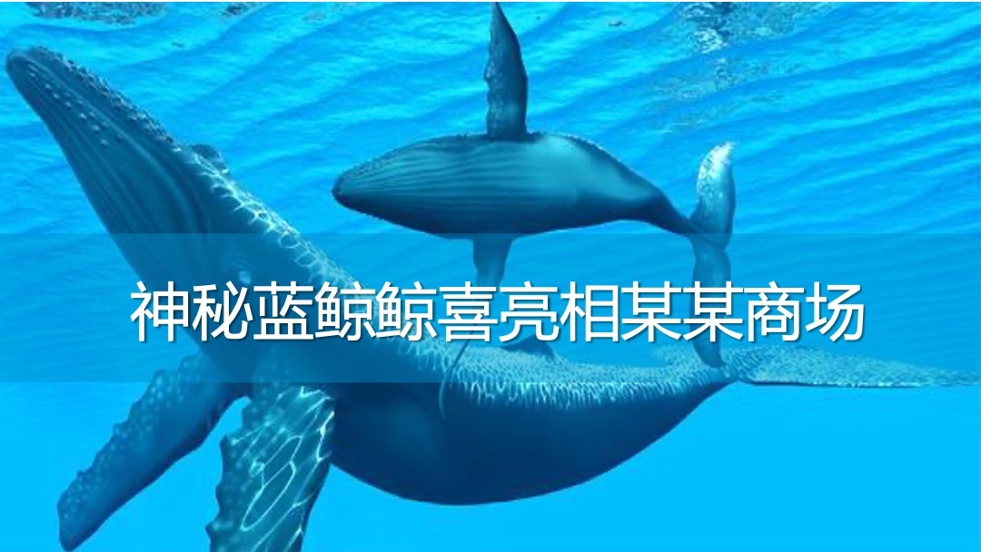 商业广场夏季系列（鱼悦夏日·海洋奇遇主题）活动策划方案