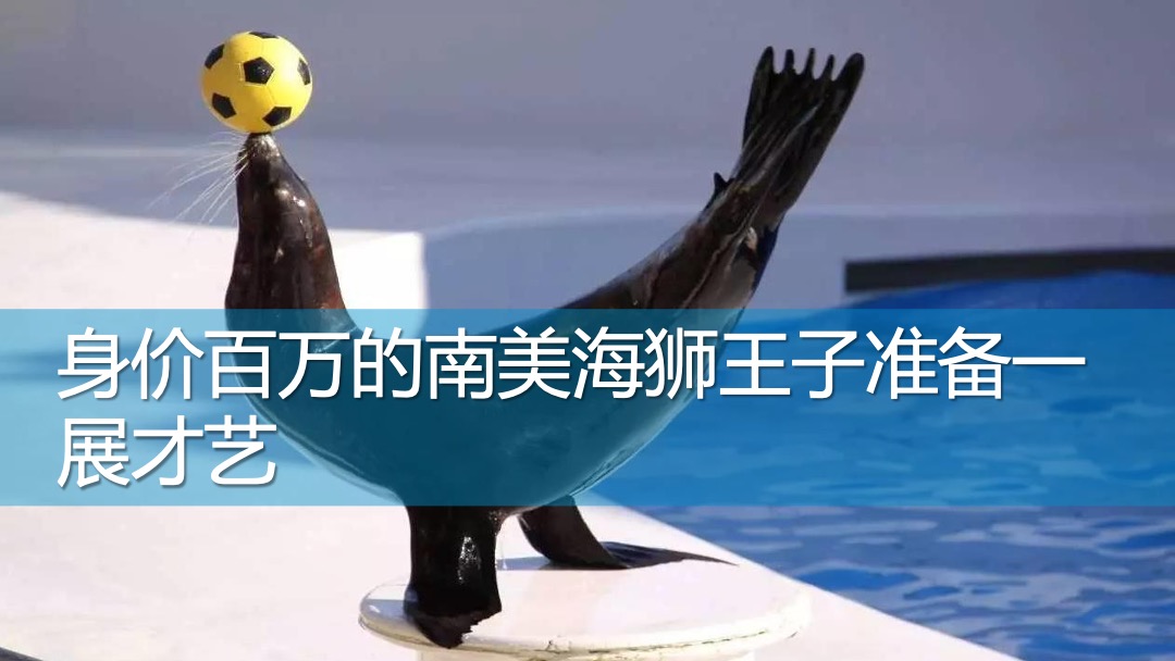 商业广场夏季系列（鱼悦夏日·海洋奇遇主题）活动策划方案