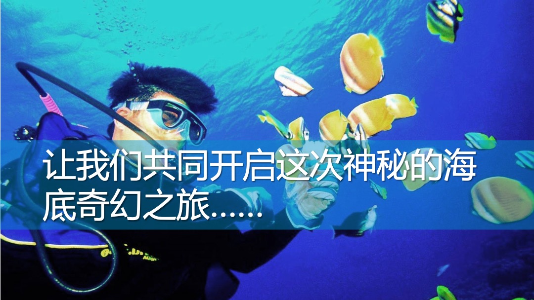 商业广场夏季系列（鱼悦夏日·海洋奇遇主题）活动策划方案