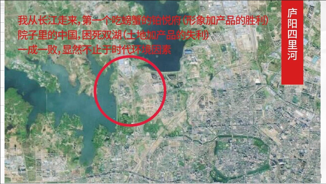 合肥龙湖天字系豪宅传播提案