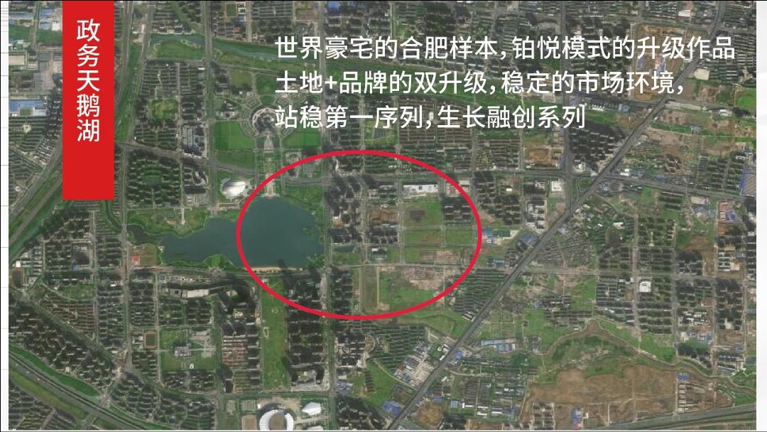 合肥龙湖天字系豪宅传播提案