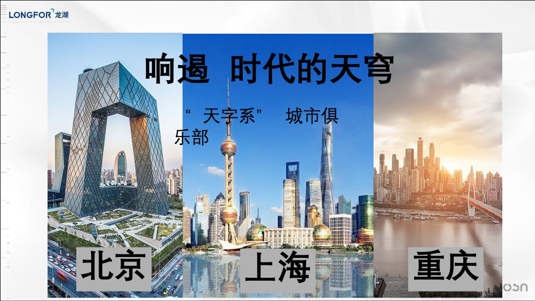 合肥龙湖天字系豪宅传播提案