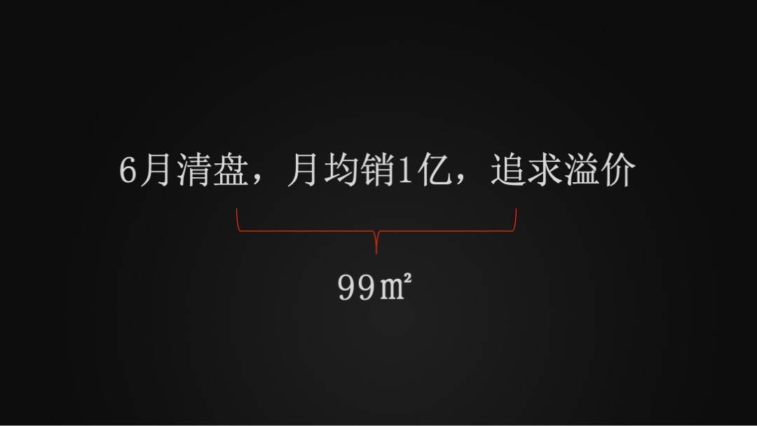 龙湖·春江紫宸年度推广提案（住宅）