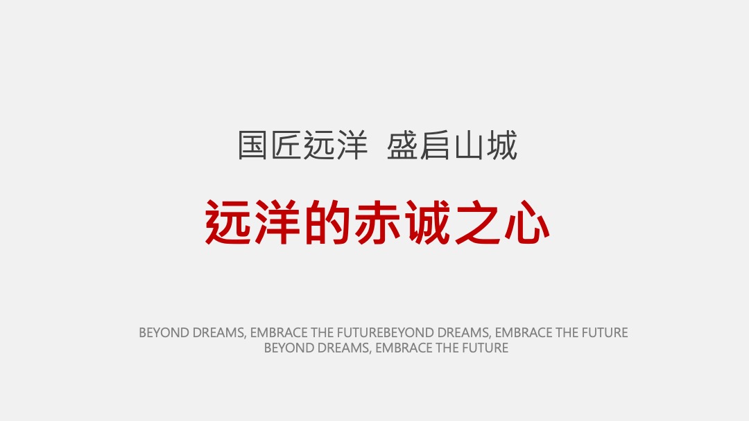 远洋尚东万和年度推广策略案