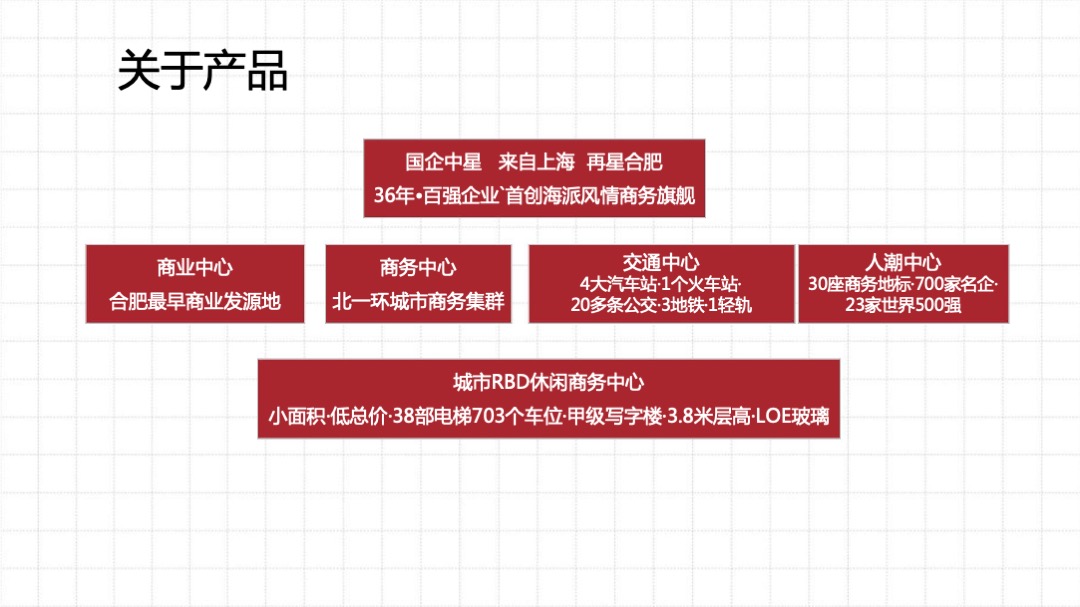 中星城项目年度推广策略提报