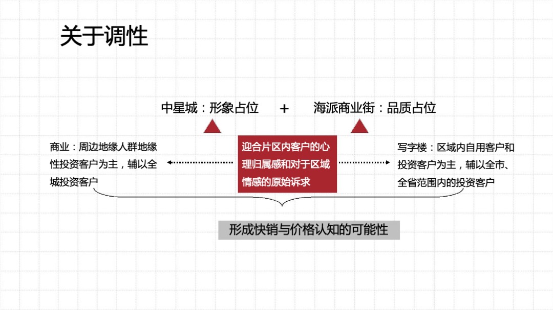 中星城项目年度推广策略提报