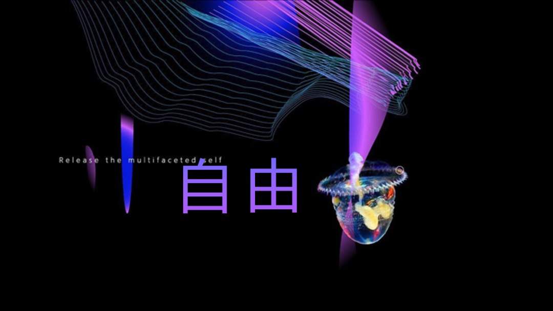 阳光城檀镜商业签约发布会（万物入境 赋新繁华主题）活动策划方案