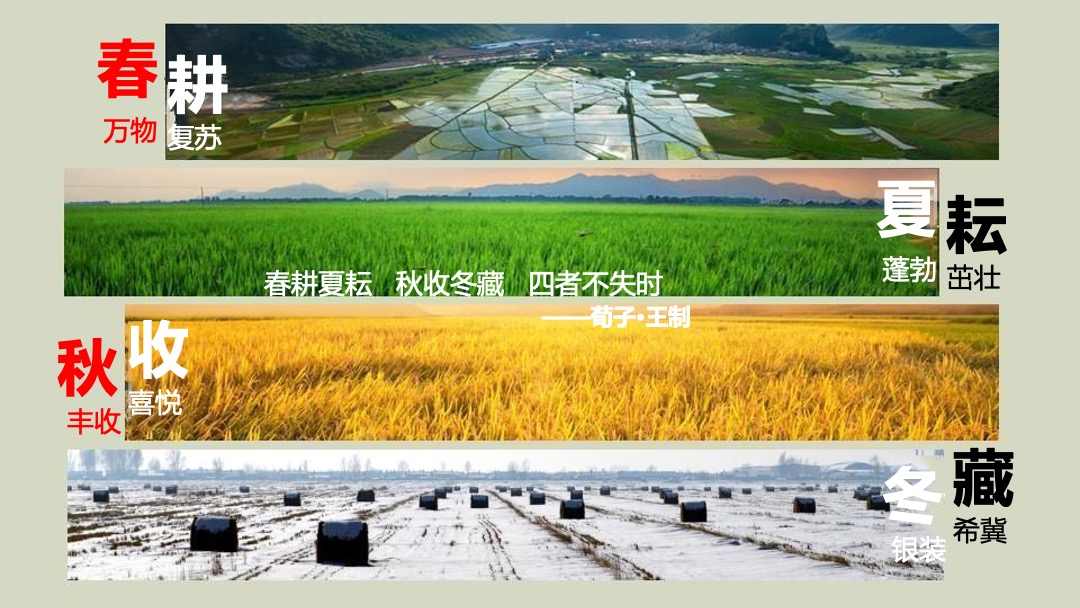 城市第三届中国农民丰收节活动策划方案