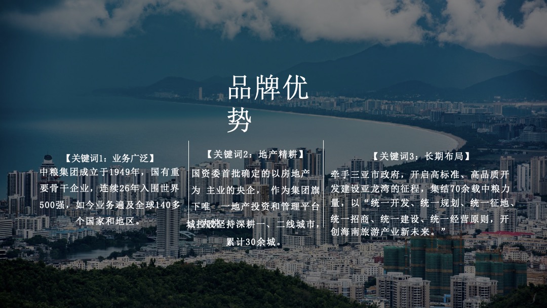 中粮三亚大悦中心上半年Q1 Q2季度活动规划方案