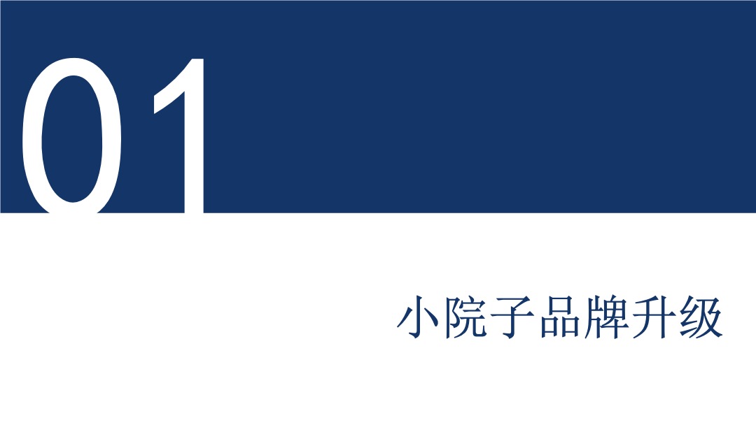 中国西南最大12平方公里大理文旅战略策划方案