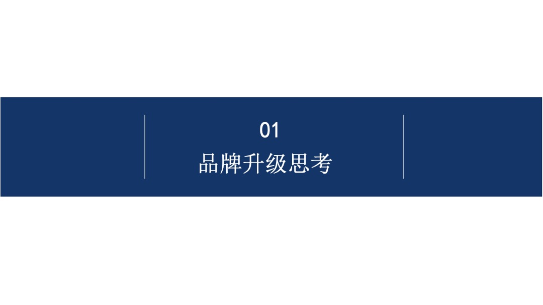 中国西南最大12平方公里大理文旅战略策划方案