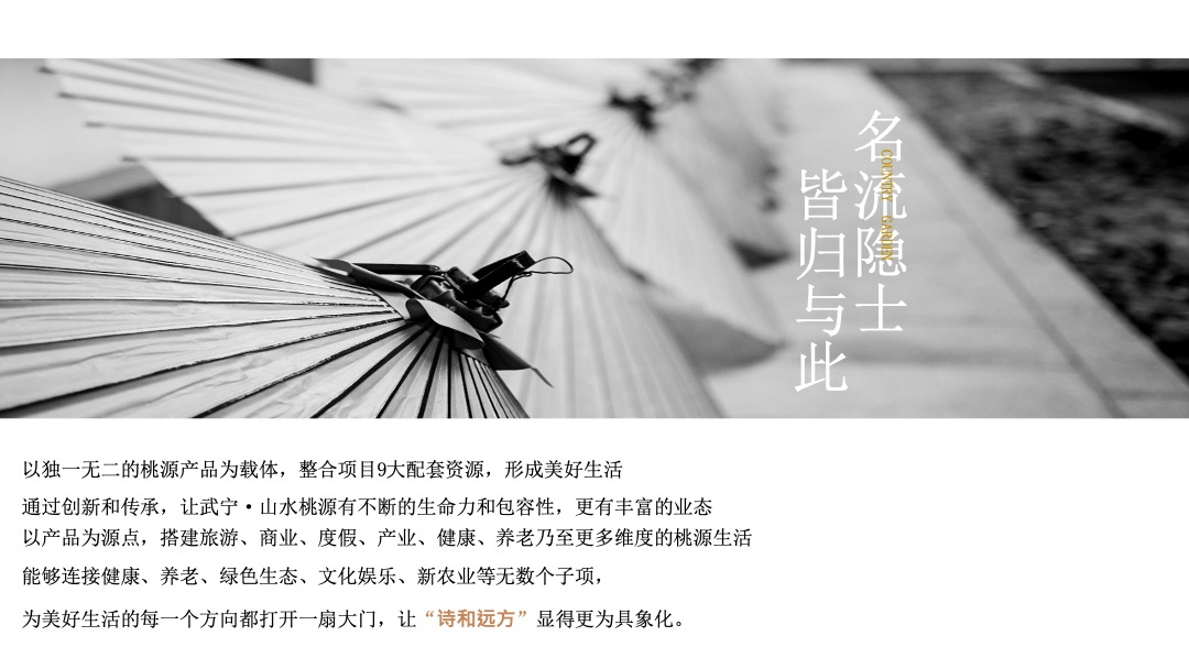 武宁·山水桃源提报江南山水小镇推广思考