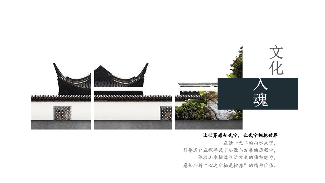 武宁·山水桃源提报江南山水小镇推广思考