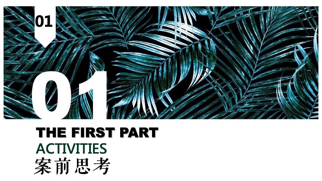 地产项目森系产品发布会（与北共森 以爱启城市主题）活动策划方案