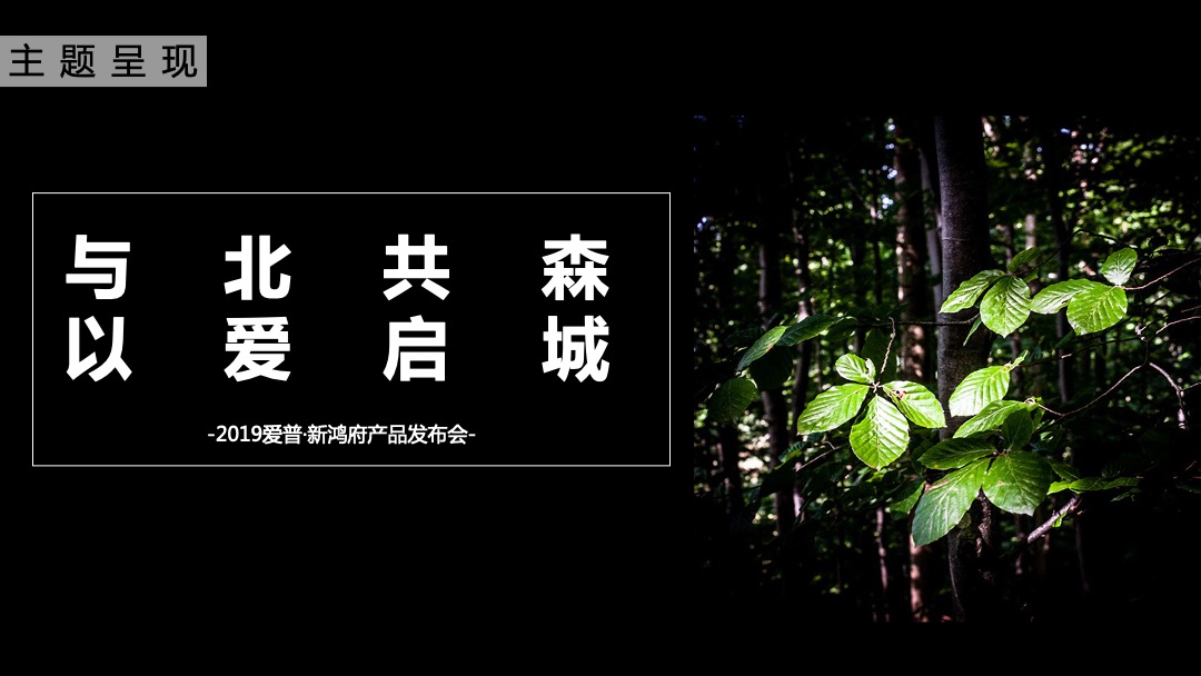 地产项目森系产品发布会（与北共森 以爱启城市主题）活动策划方案
