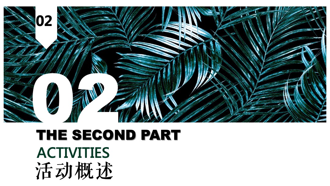 地产项目森系产品发布会（与北共森 以爱启城市主题）活动策划方案