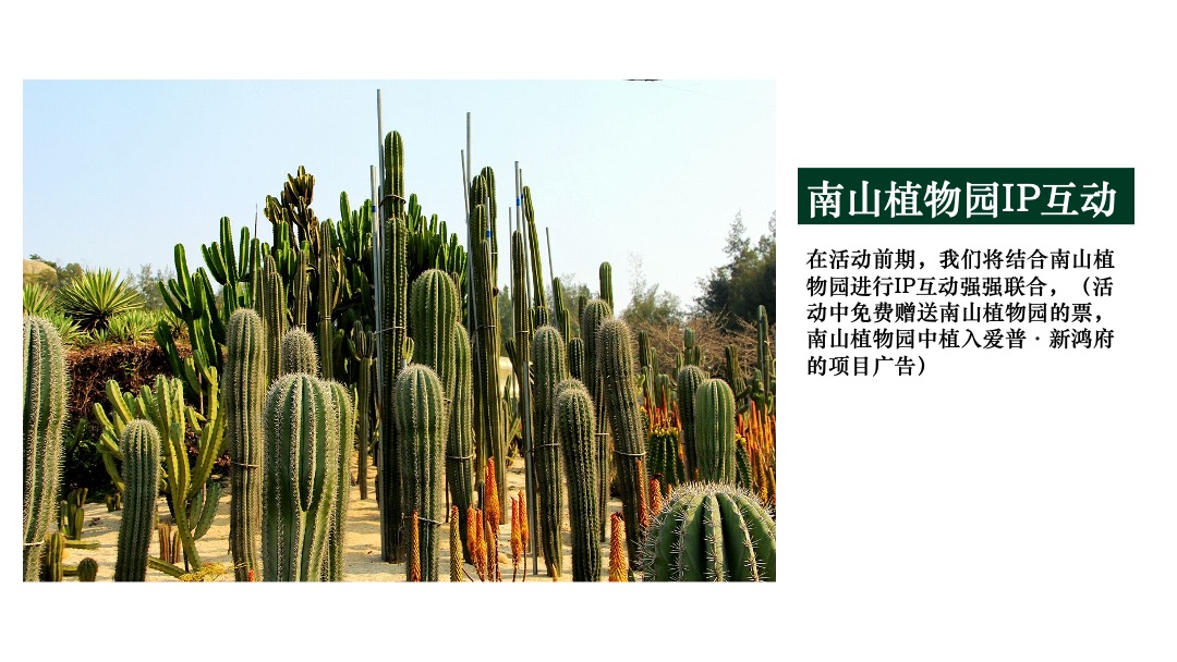 地产项目森系产品发布会（与北共森 以爱启城市主题）活动策划方案