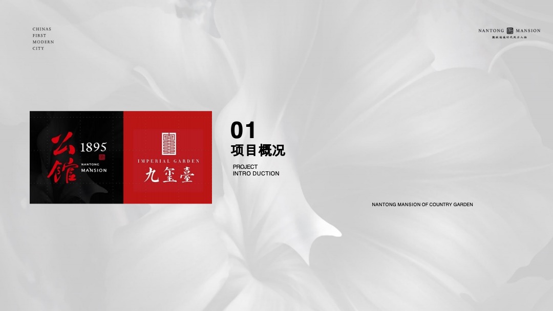 广西南宁融创·九棠府包装亮点