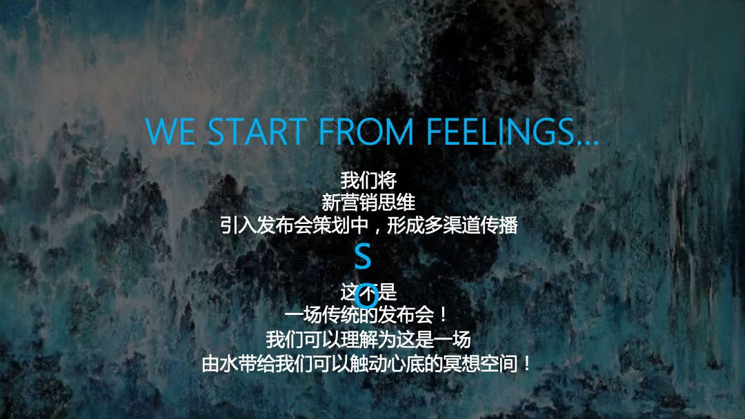 地产项目新品发布会（水无界·心伴湾主题）活动策划方案