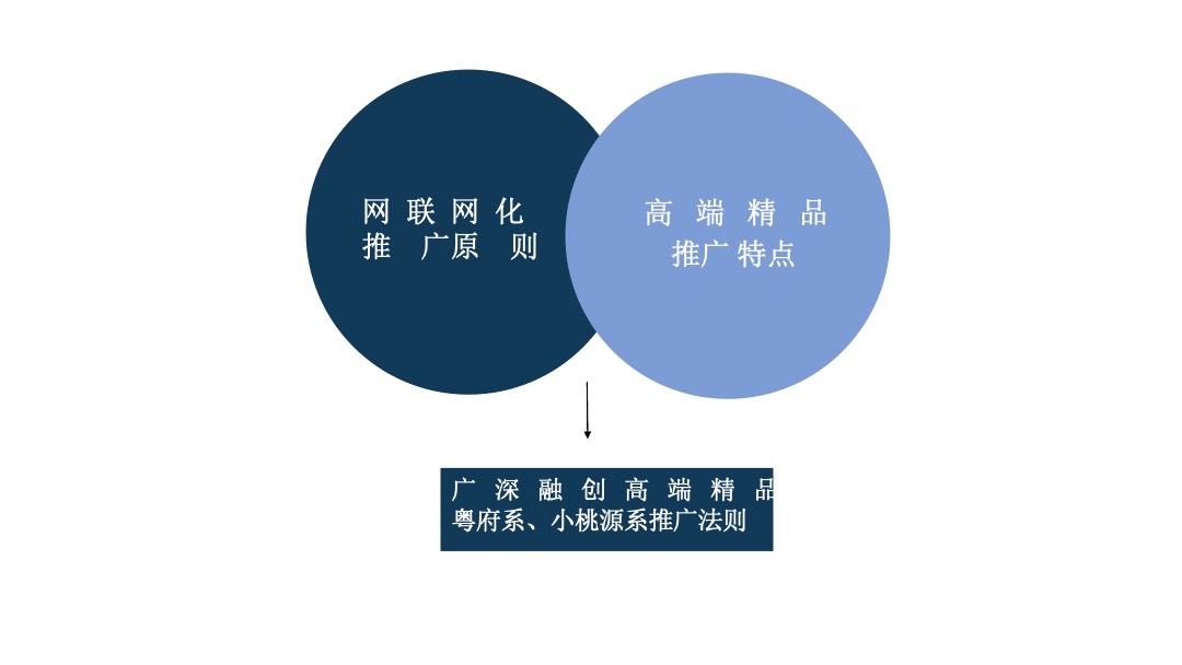 广深融创高端精品营销推广策略方案