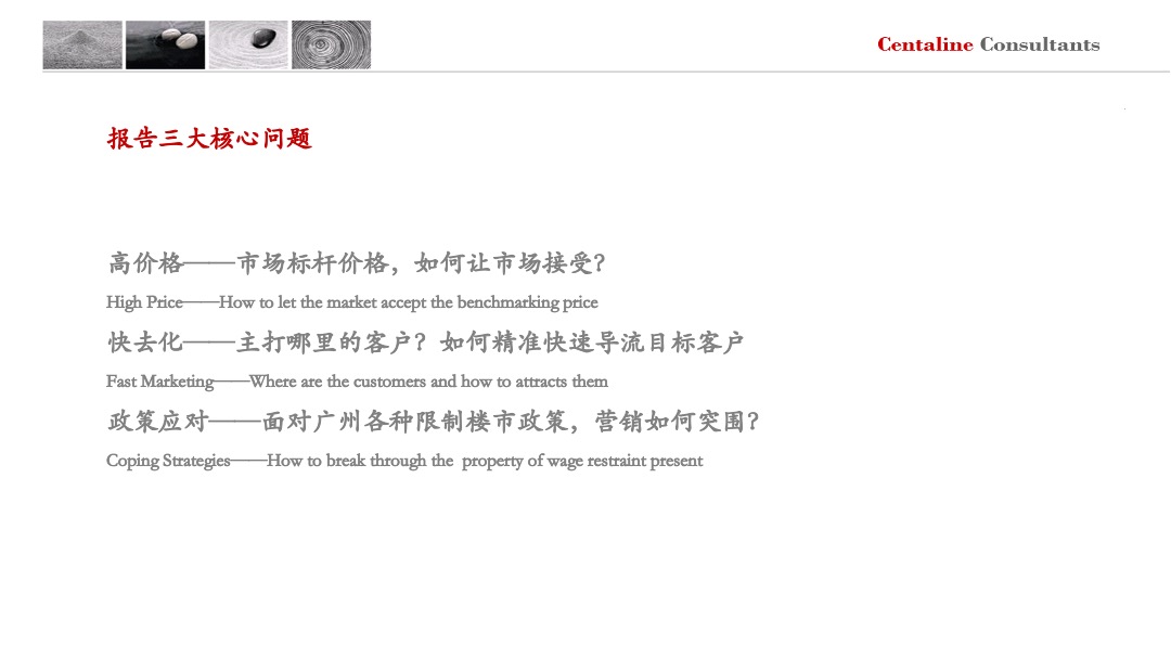 广州大华紫悦府年度营销策略方案