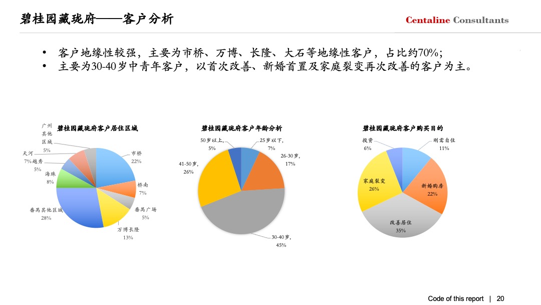 广州大华紫悦府年度营销策略方案