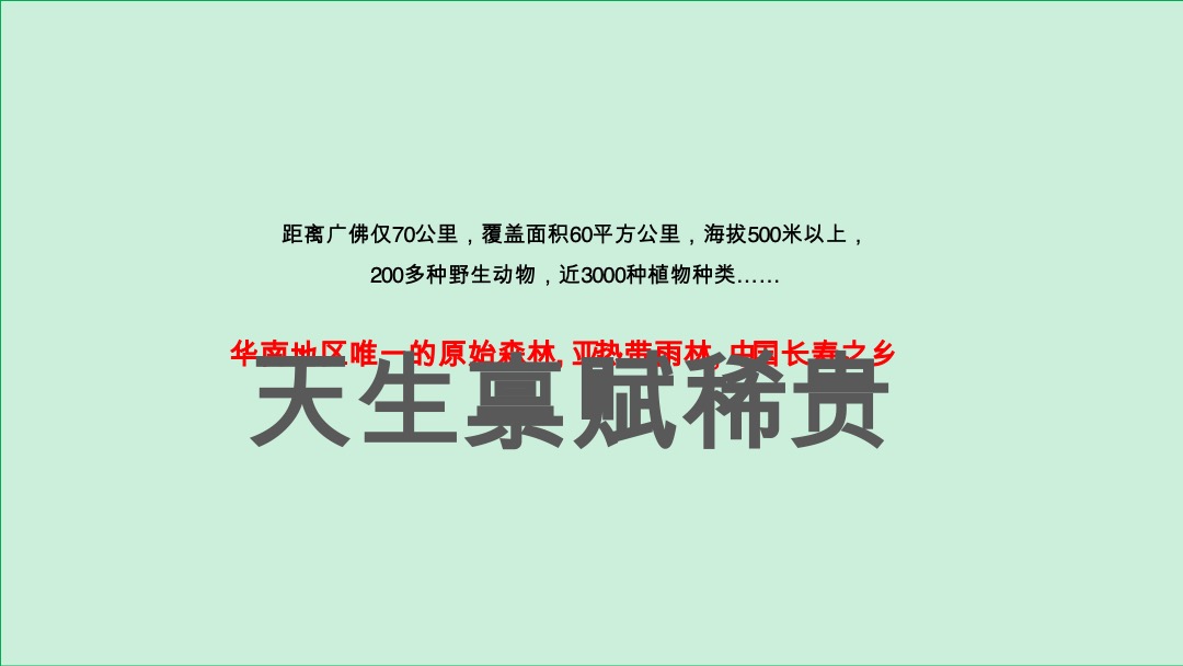南山十二院项目营销策略推广方案