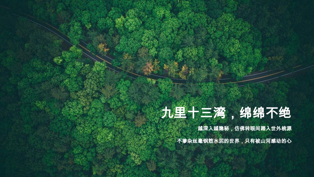 南山十二院项目营销策略推广方案