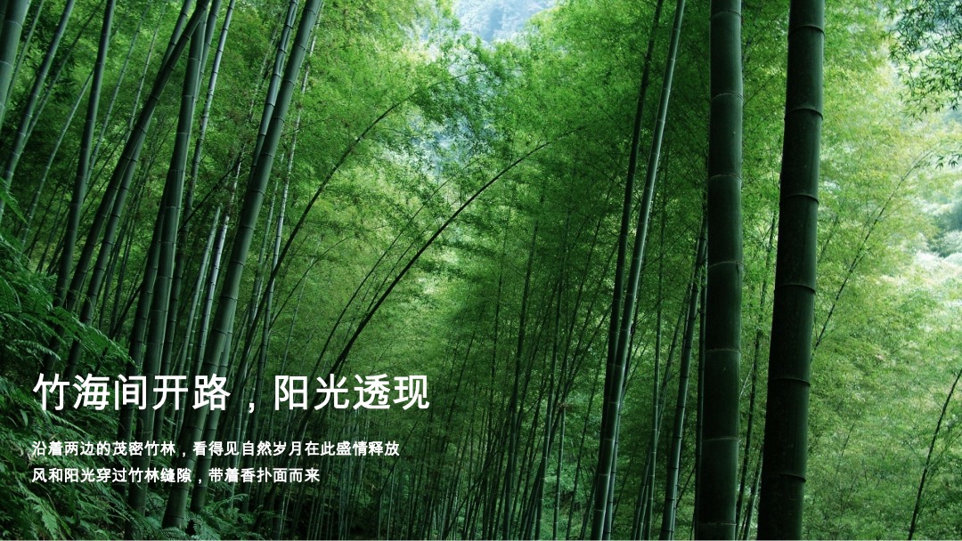 南山十二院项目营销策略推广方案