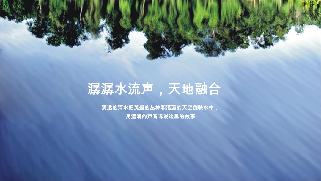 南山十二院项目营销策略推广方案