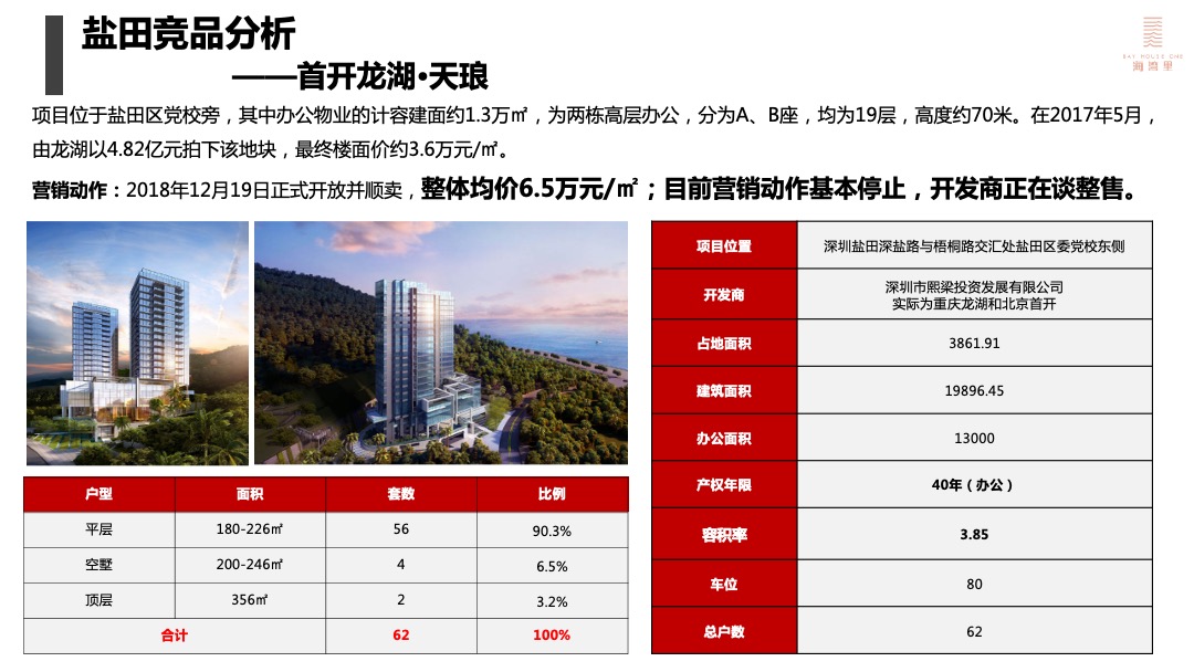 盛迪嘉海湾里大厦营销策略执行方案