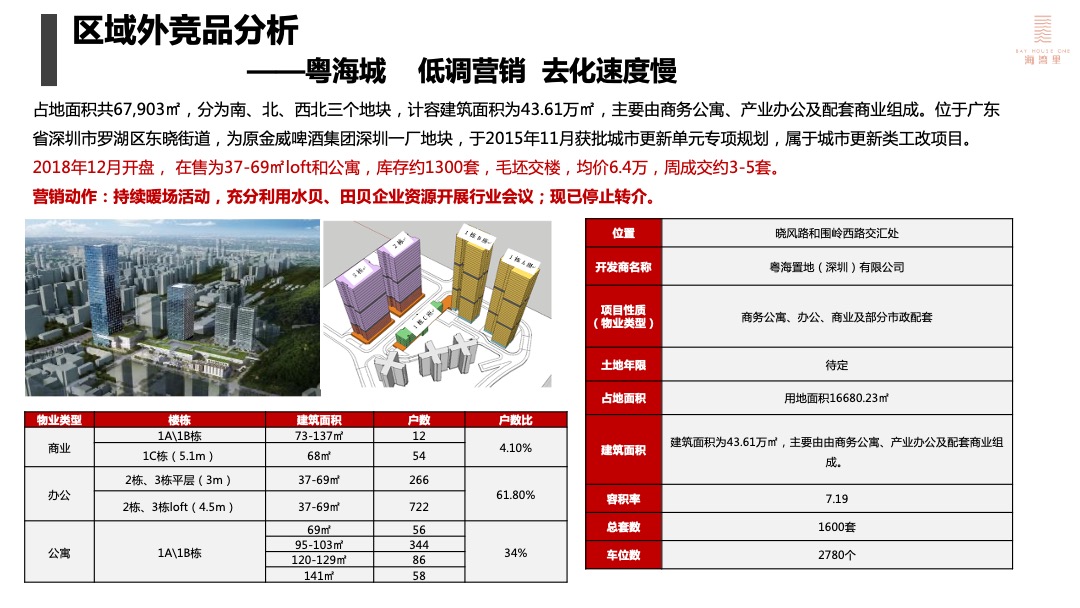 盛迪嘉海湾里大厦营销策略执行方案