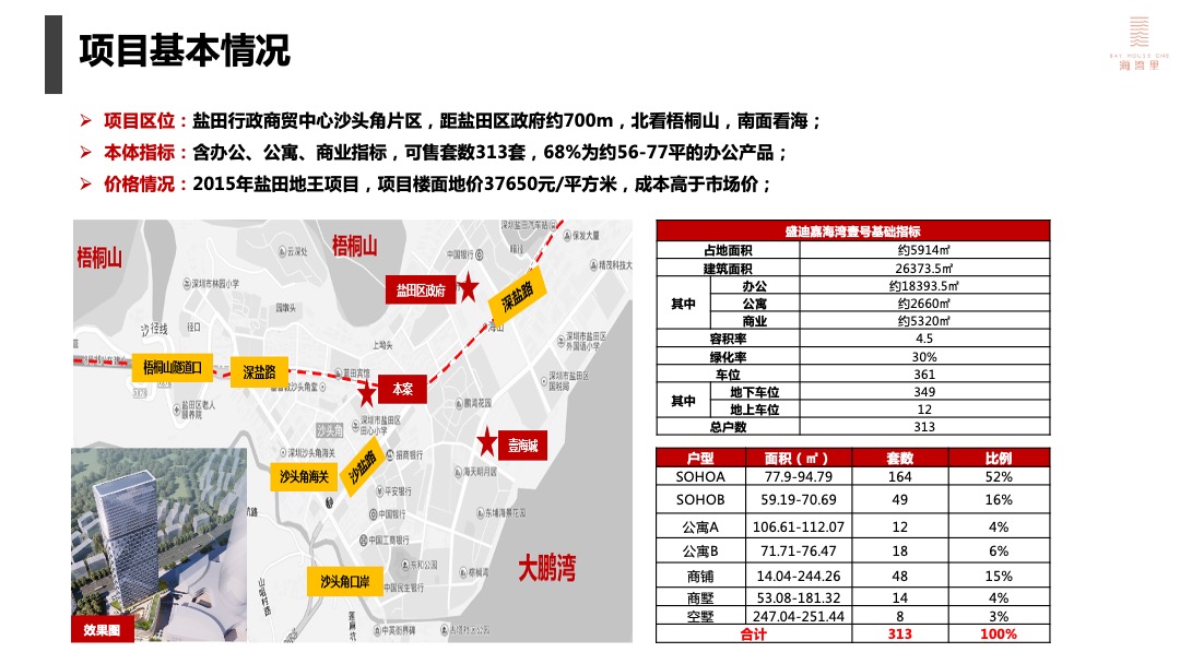 盛迪嘉海湾里大厦营销策略执行方案