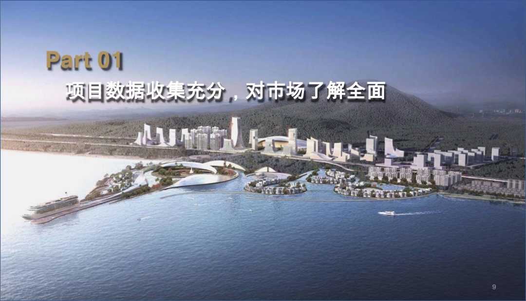 广州增城荔湖项目竞标营销策略方案