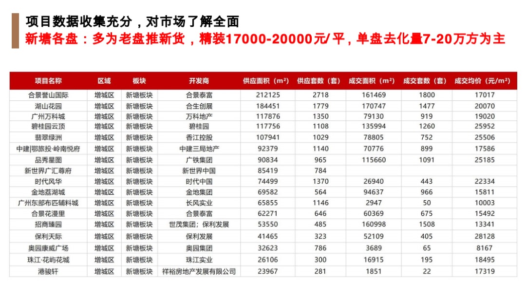 广州增城荔湖项目竞标营销策略方案