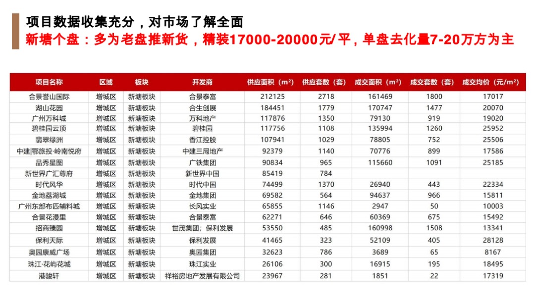 广州增城荔湖项目竞标营销策略方案