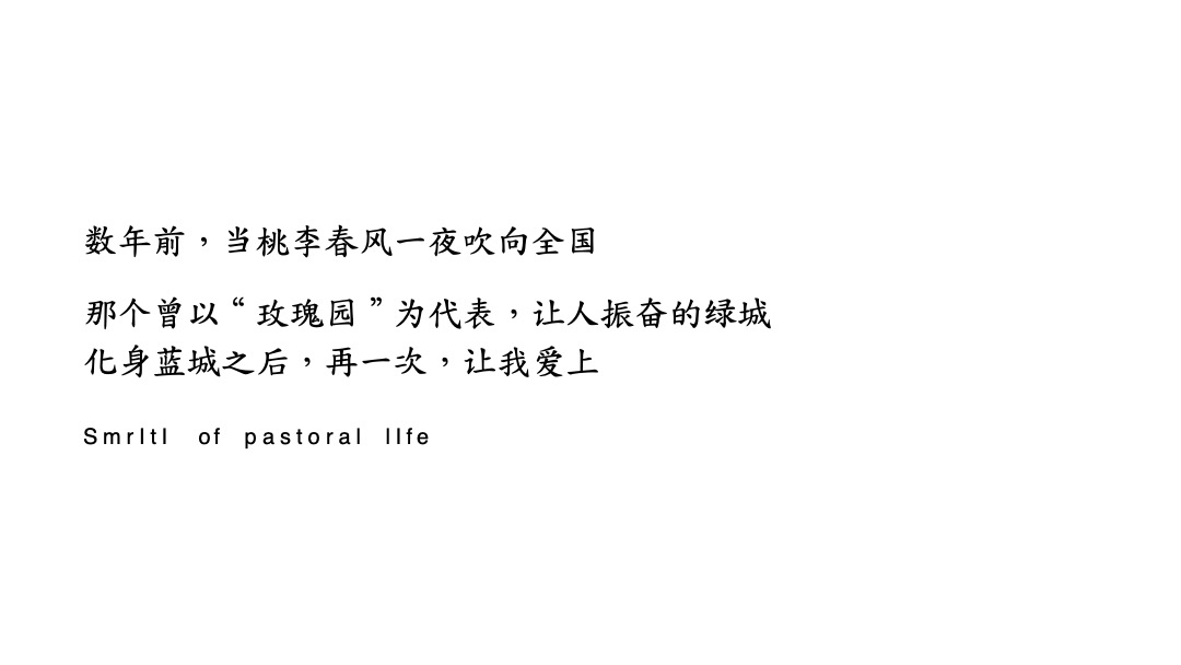 【别墅】地产新中式别墅宋卫平蓝城昭阳桃李项目传播策略案