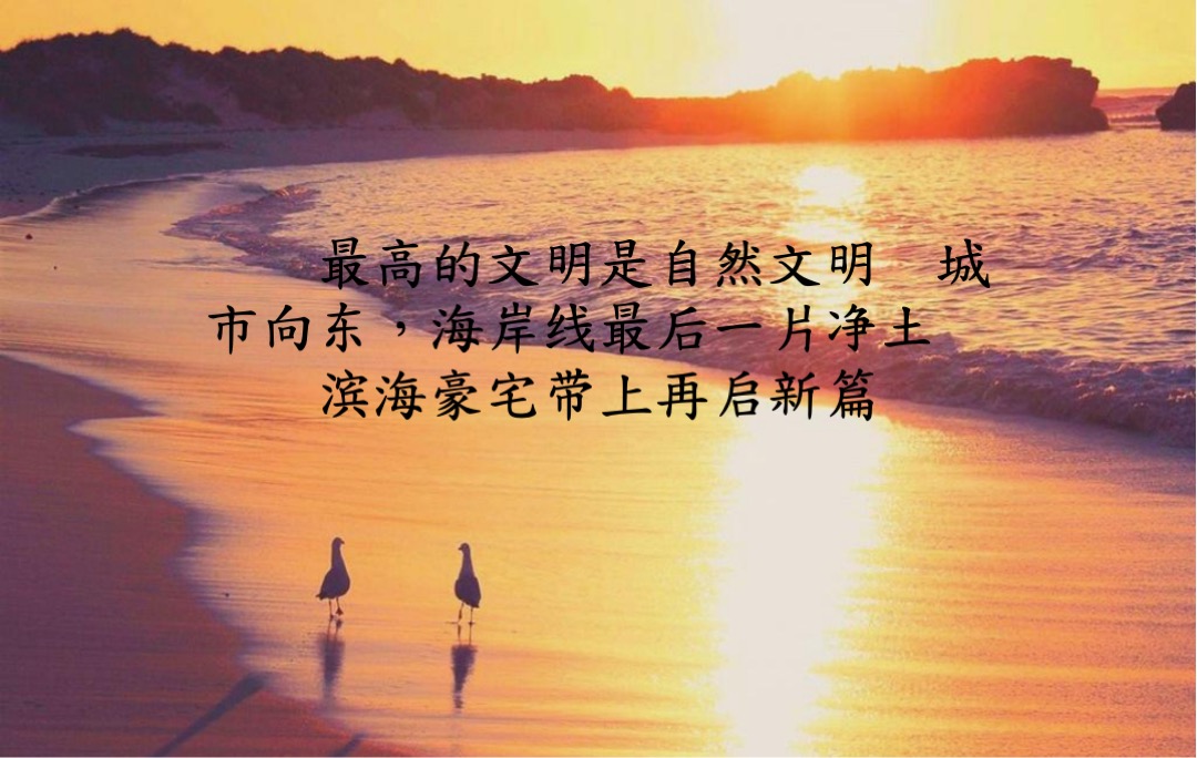 【别墅】青岛青建君庭别墅提报方案