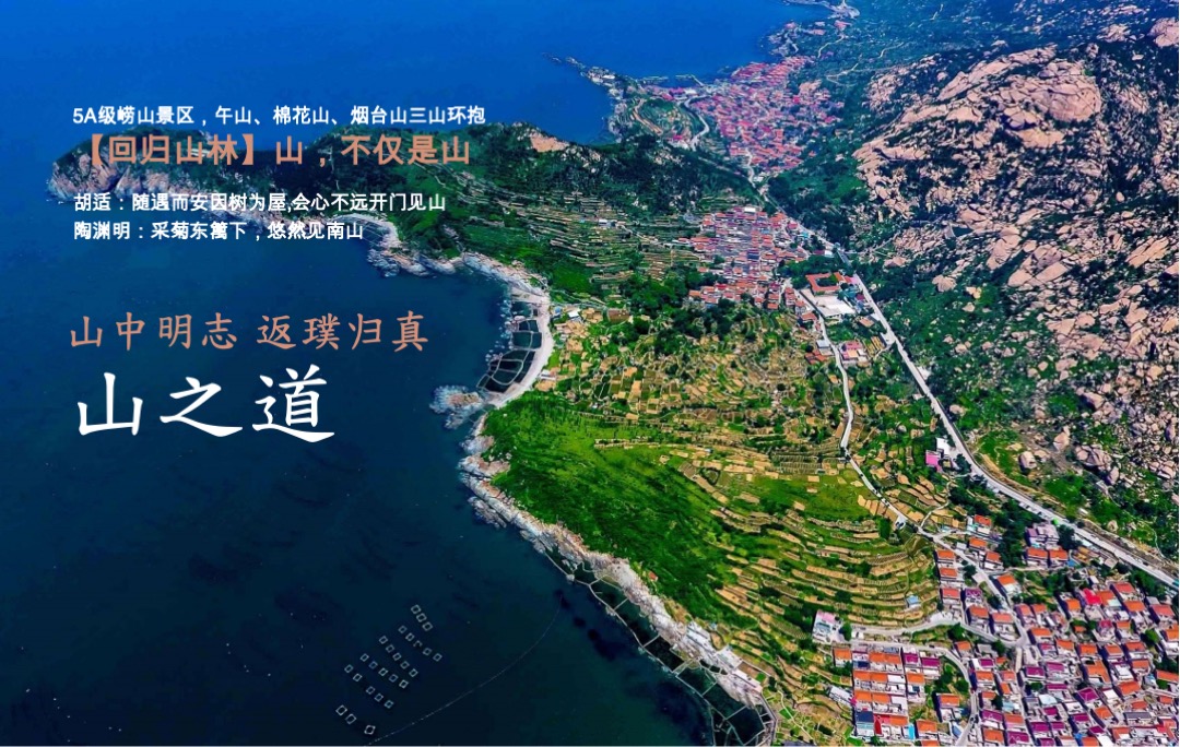 【别墅】青岛青建君庭别墅提报方案